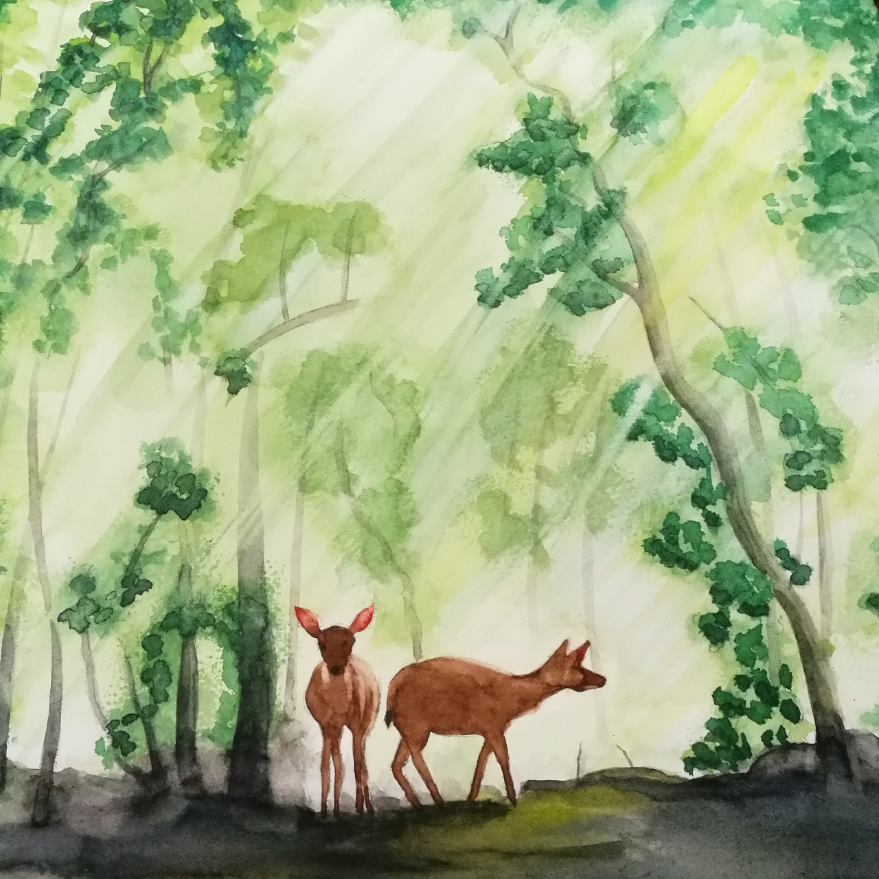 水彩练习:森林的精灵|插画|儿童插画|niuniutang1705 - 原创作品