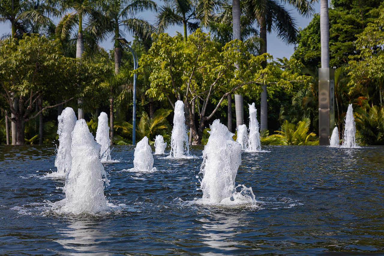 厦门园博苑 2023