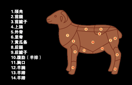 羊肉分割图超市常用