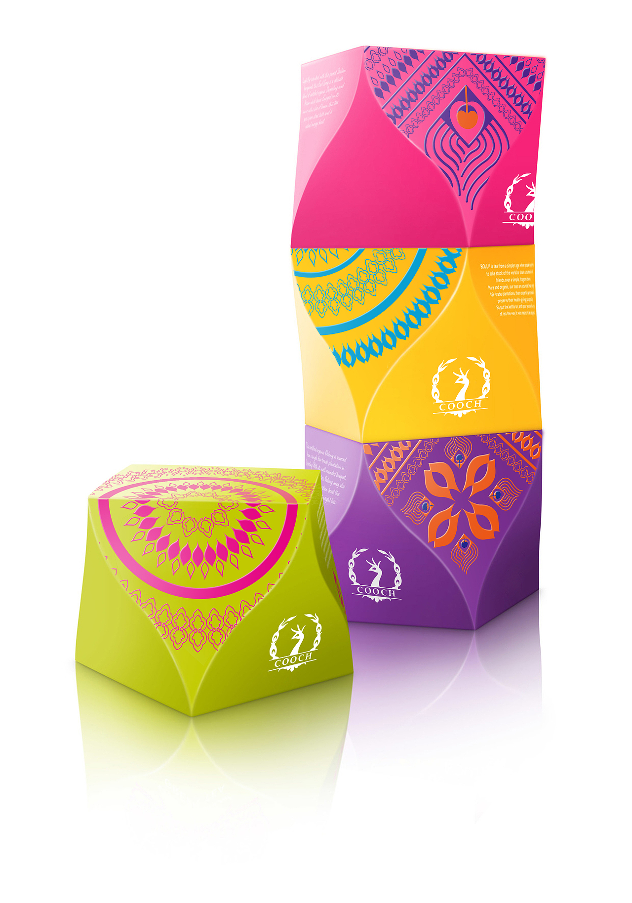 蕾蕾美颜 孔雀手植物美甲品牌形象设计