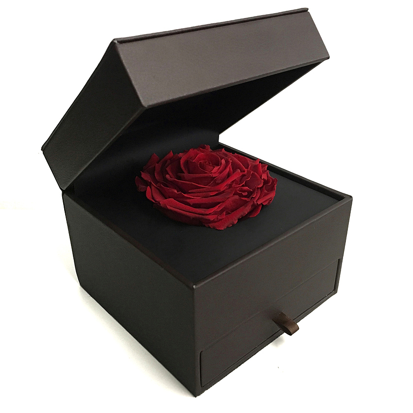 DW DanielWellington（图ZNjk0ODc2ODQ=） - 商业插画 - 站酷设计师饭太稀Fan原创素材 - 站酷ZCOOL