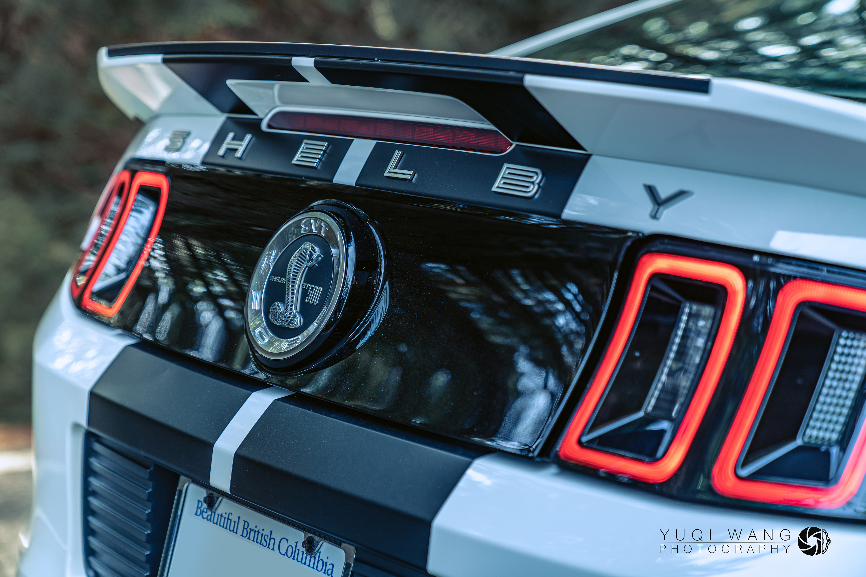 野马shelby gt500