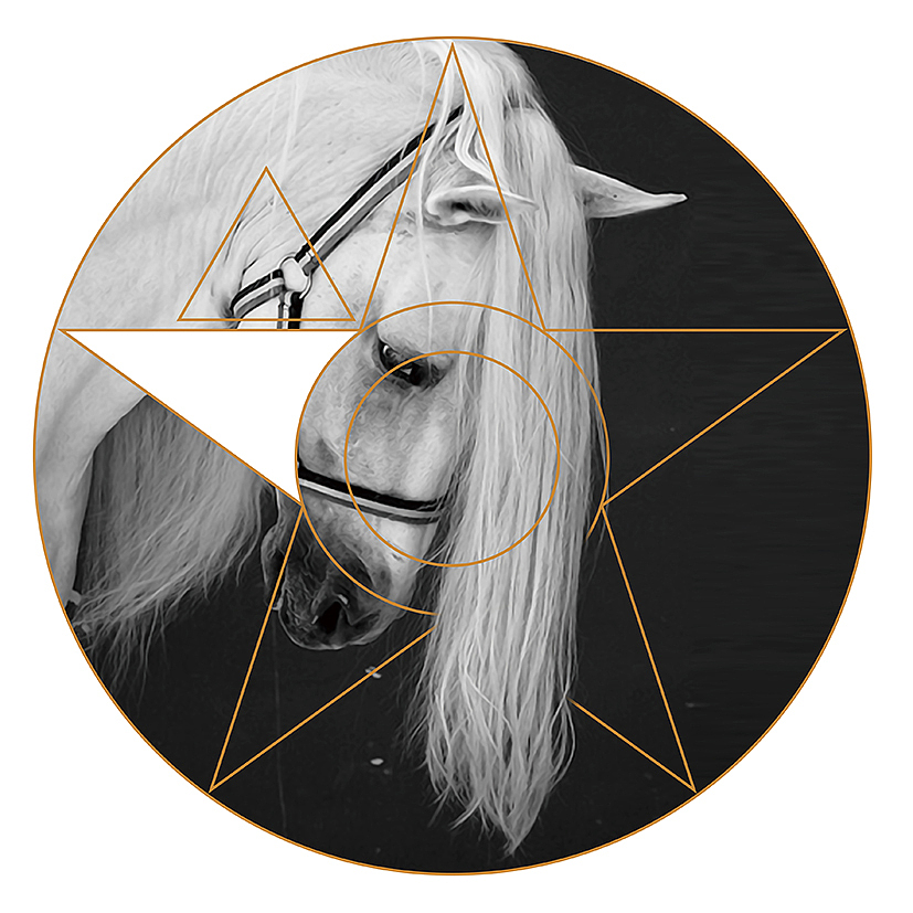 装饰画厂家,任何画面都可定制 微信18370799389