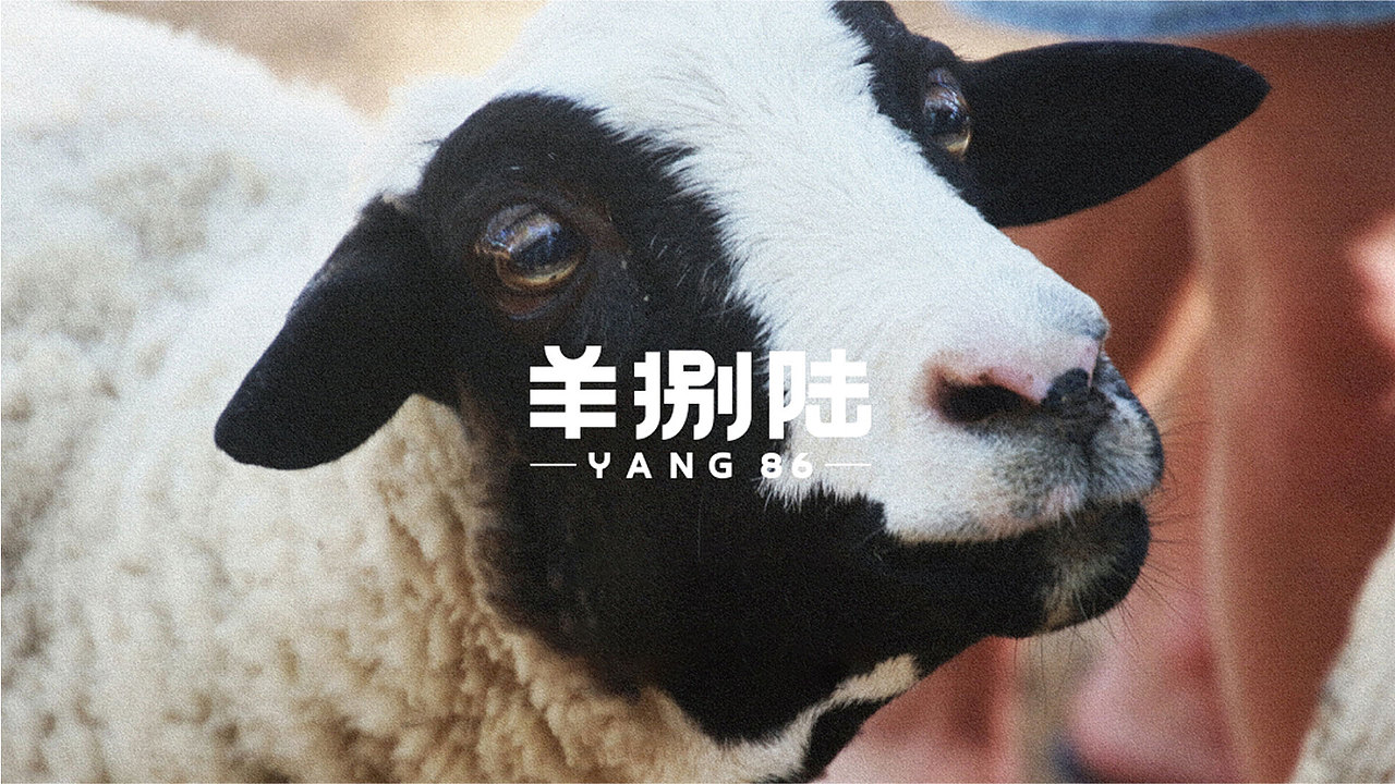羊捌陆品牌策划设计（图ZMjY1NDkzODgw） - 品牌 - 站酷设计师Bai菜也是菜原创素材 - 站酷ZCOOL