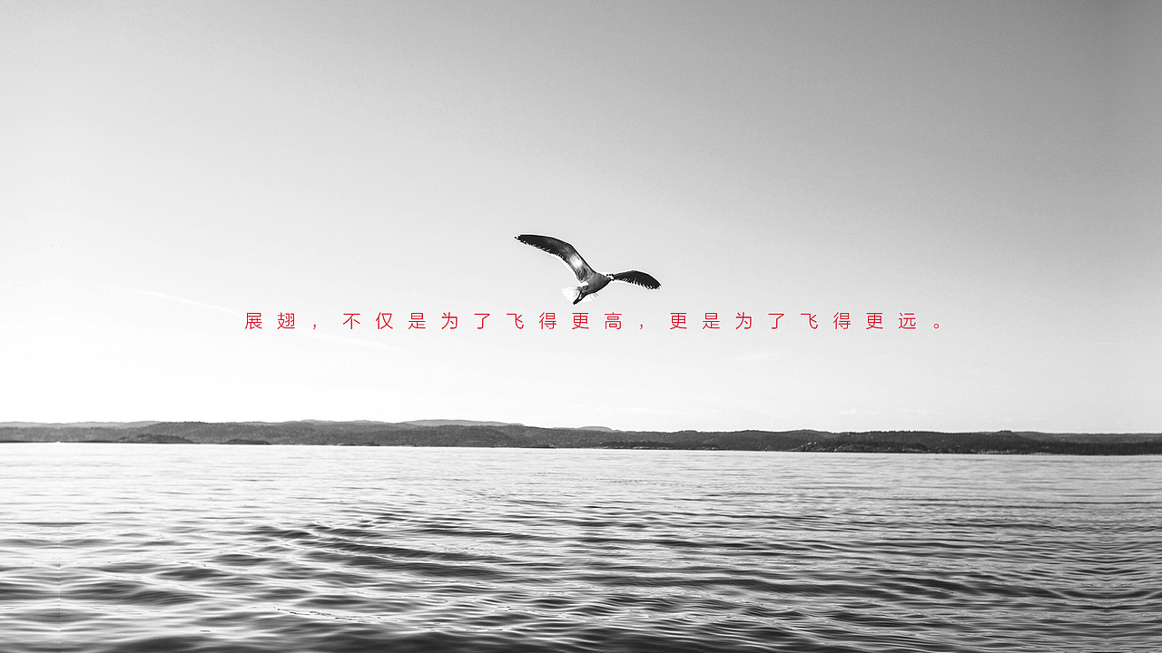 整理一下2019年的一些logo设计(部分)