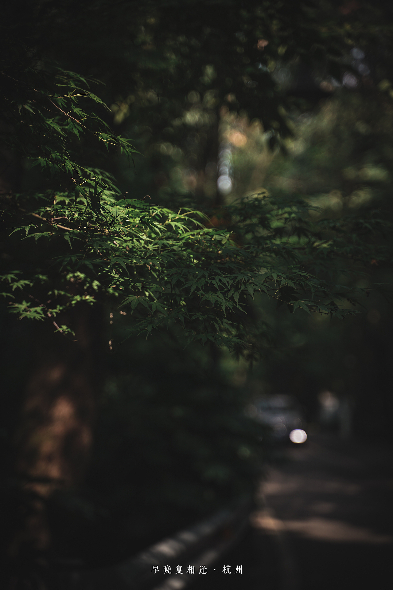 “早晚复相逢”