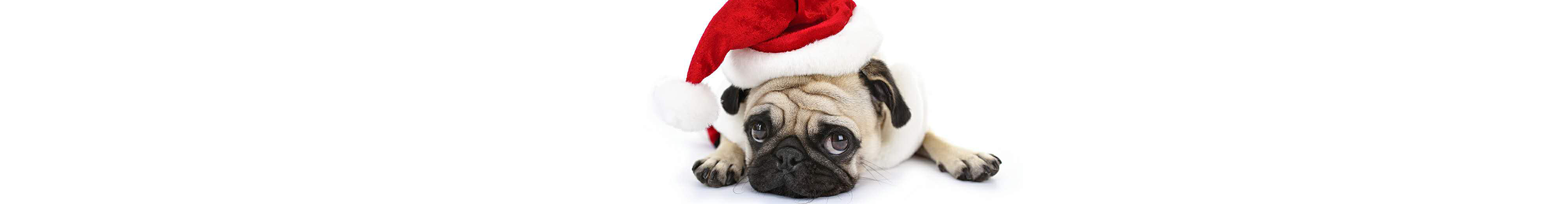 小青柠21的个人主页（封面预览） - 主页封面设置 - 站酷设计师小青柠21原创素材 - 站酷ZCOOL