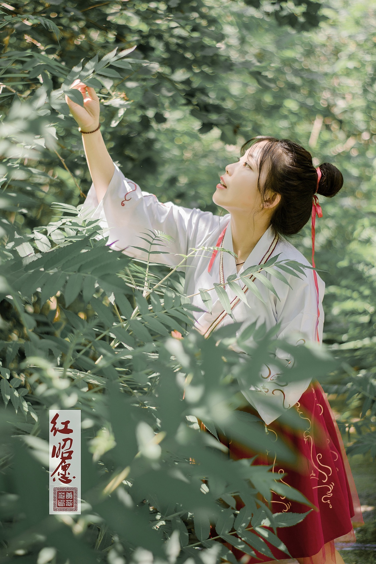 红昭愿（图ZMTIwMzEyMzA0） - 人像摄影 - 站酷设计师莎Sarah原创素材 - 站酷ZCOOL