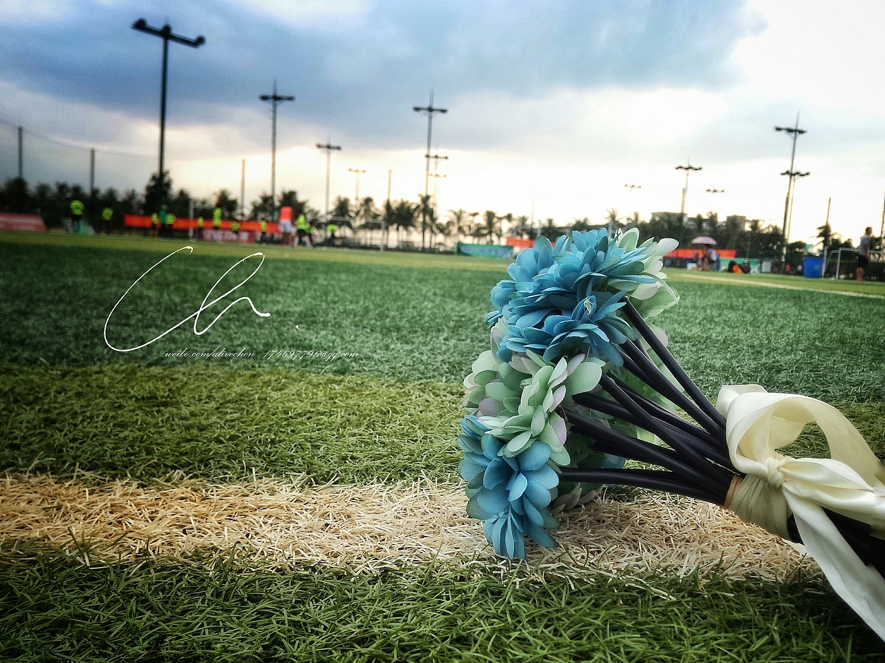 这半年的手机摄影 2015-海南海口