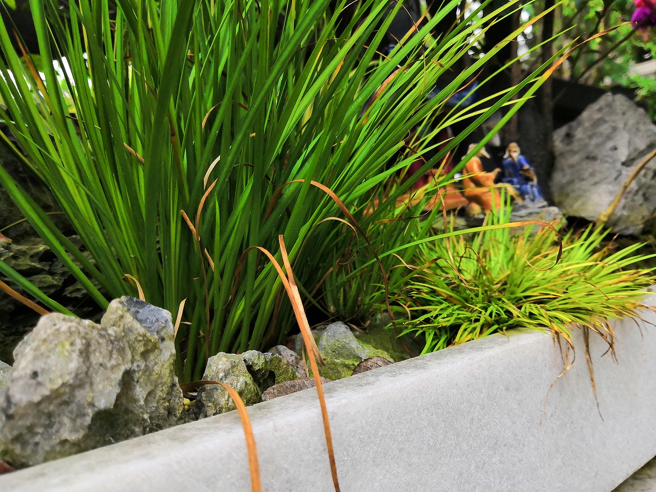 余荫山房 同游（图ZMTYyMzQzNjEy） - 人文/纪实摄影 - 站酷设计师个银两岁星原创素材 - 站酷ZCOOL