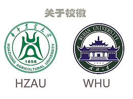 大学