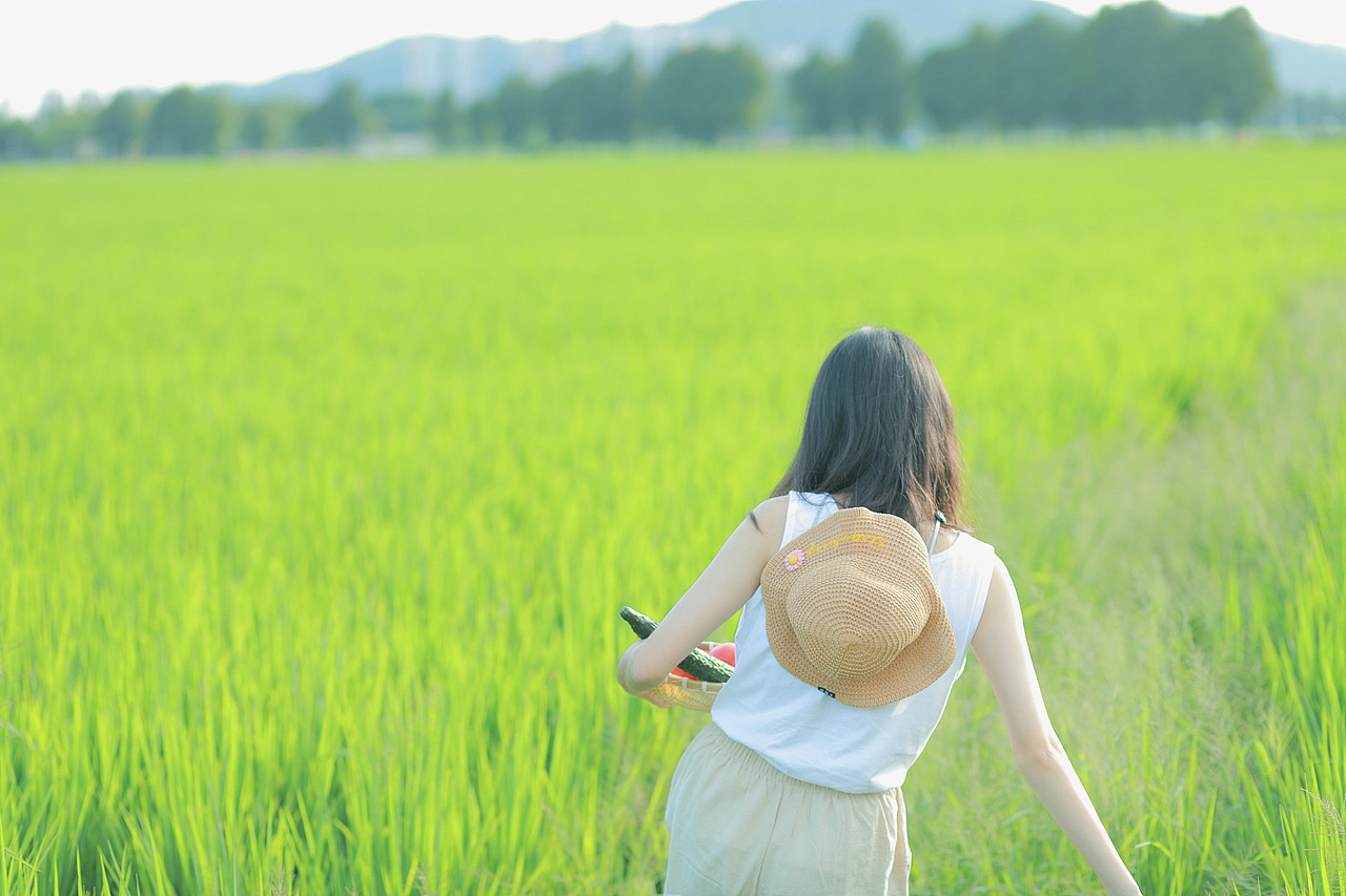 《小森林》——夏日篇