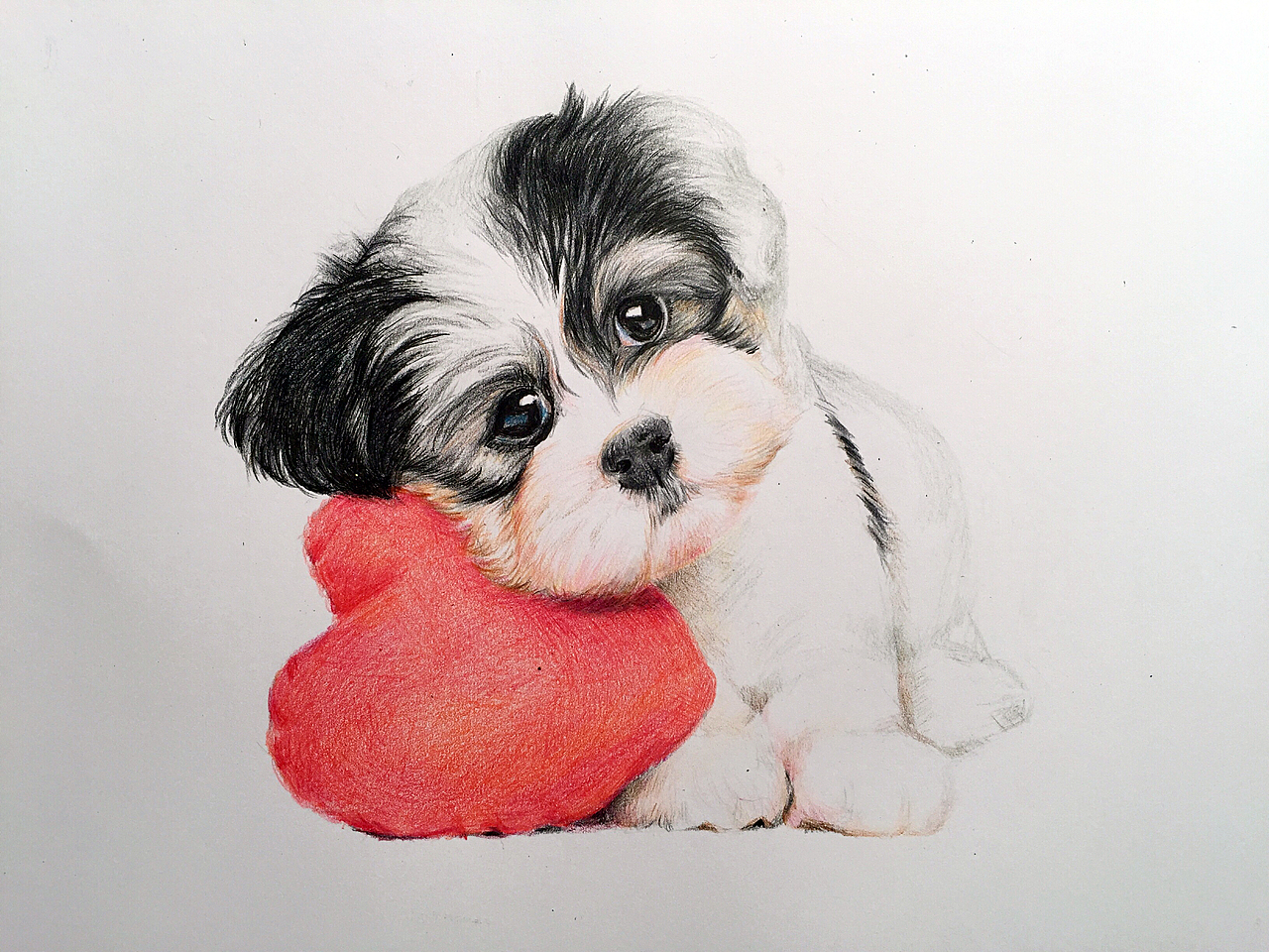 彩铅画—忧郁的狗狗|纯艺术|绘画|菜菜小白zxs_原创作品-站酷zcool