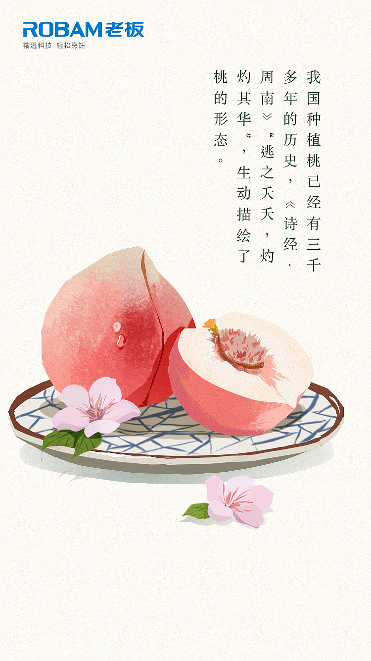 2018年一些工作图·食物（图ZMTI1NTQxNjYw） - 商业插画 - 站酷设计师Xiaoxiao的原创素材 - 站酷ZCOOL