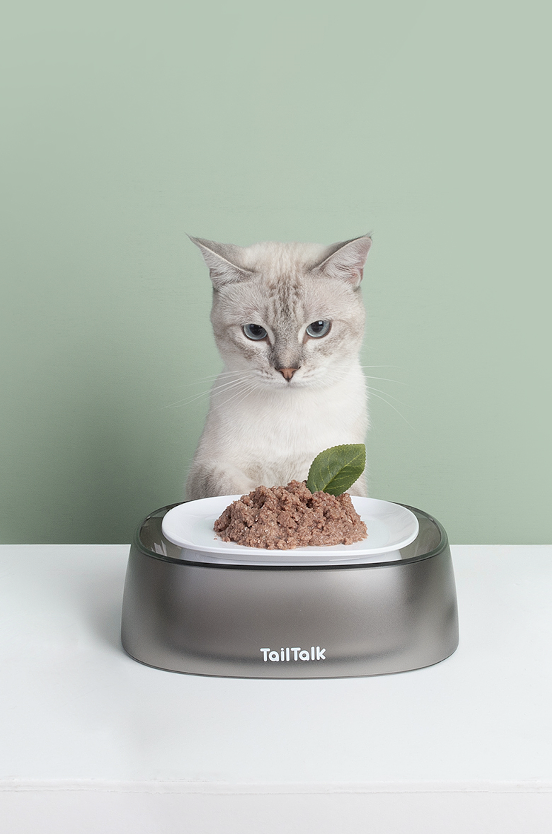 宠物产品拍摄 TailTalk麻球说宠物防溢碗