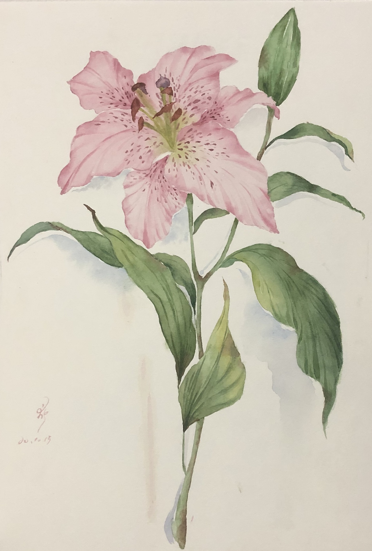 水彩花卉临摹|纯艺术|绘画|埃莉西娅 - 临摹作品 - 站酷 (zcool)