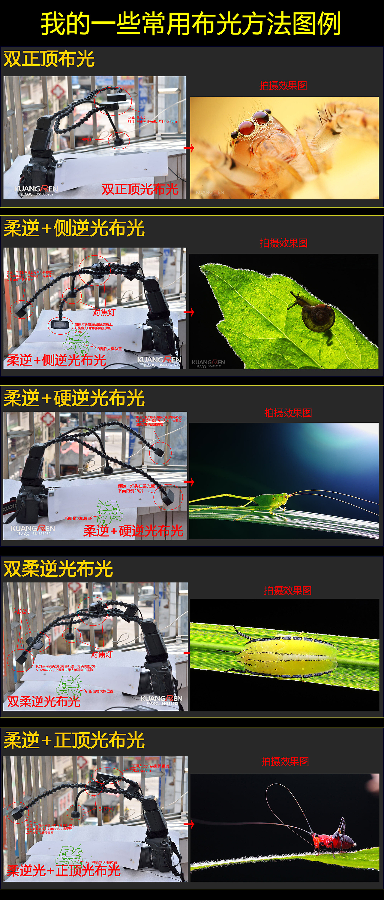 几张微距摄影片片，有详细布光图，，，，，，，（图ZMjE2OTMzMzY=） - 风光摄影 - 站酷设计师瓜哥微距摄影原创素材 - 站酷ZCOOL