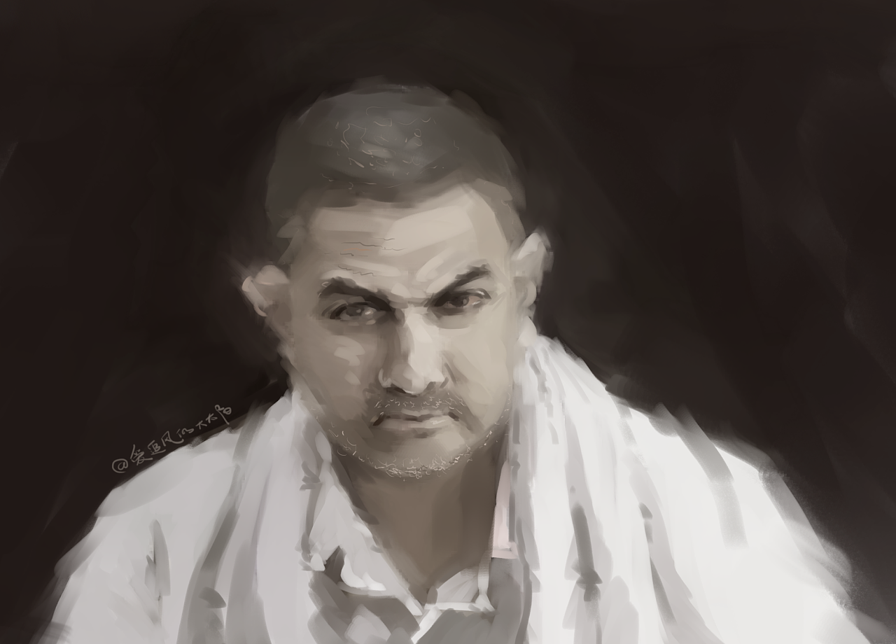 摔跤吧爸爸阿米尔汗手绘