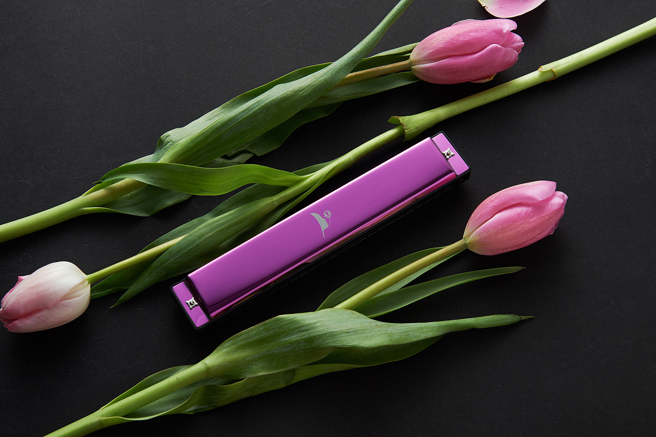 静物摄影 电商摄影 口琴拍摄 产品拍摄