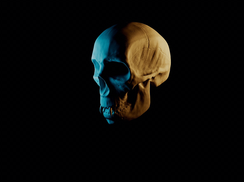 3d头骨建模渲染（图ZMzM3NzEzNzIw） - 人物/生物 - 站酷设计师123我是77原创素材 - 站酷ZCOOL