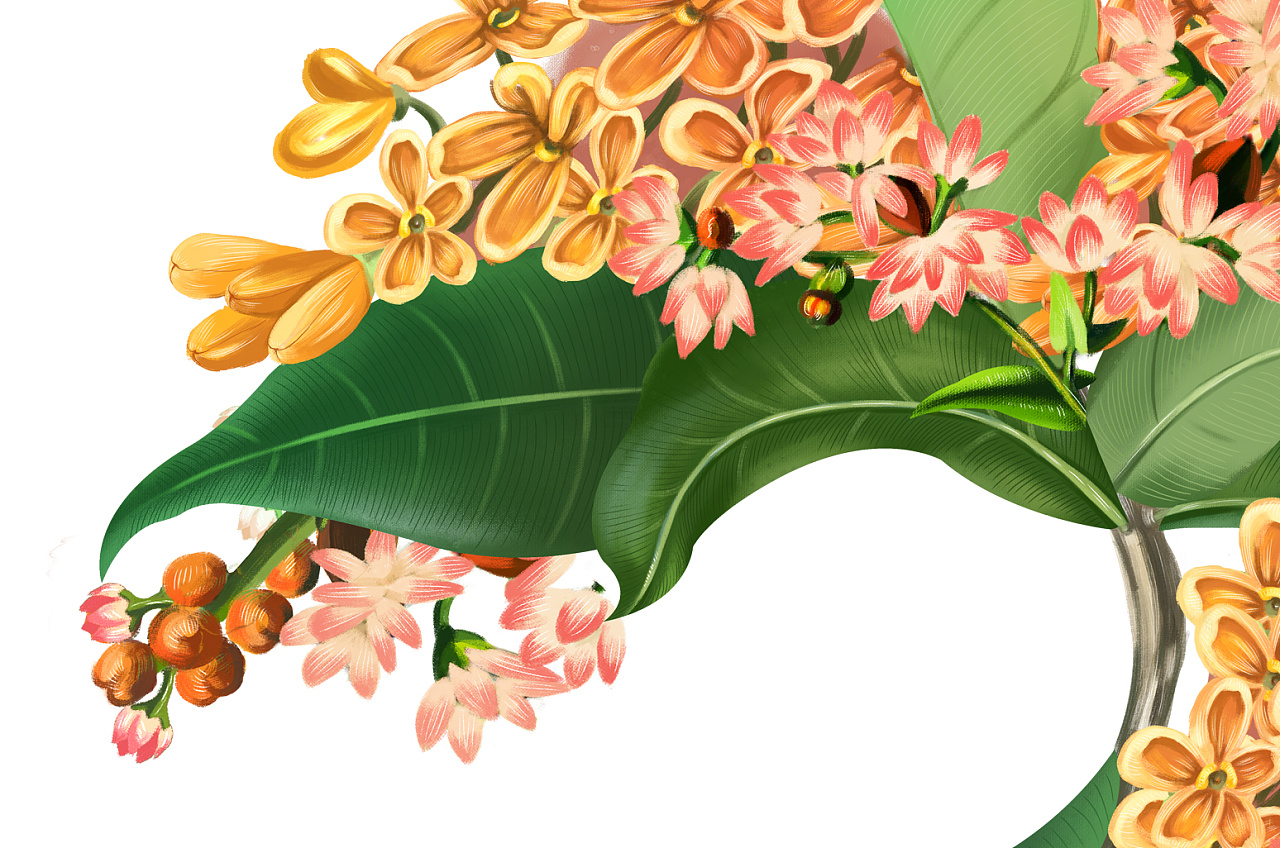 三匠苦荞茶包装插画 - 原创作品 - 站酷(zcool)