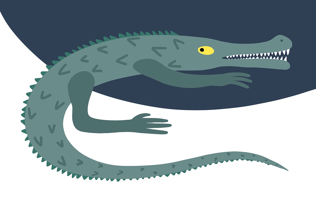 一路上都在涂鸦