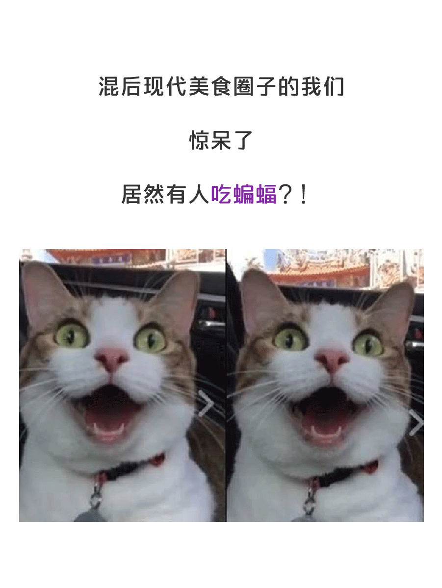 疫情之后，人类能不能拒绝吃野味？（图ZMTk1Mjc4MzA0） - 中/长篇漫画 - 站酷设计师缸灿食话原创素材 - 站酷ZCOOL
