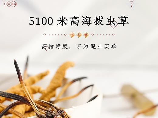 虫草详情页