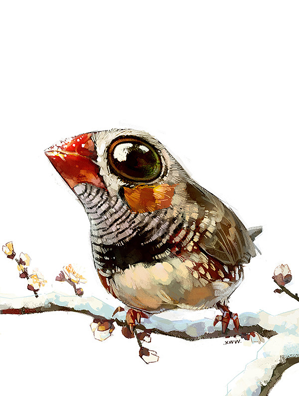 【教程 by 雪娃娃】雪枝上的小鸟（图ZNzQ3MDY1MzI=） - 商业插画 - 站酷设计师雪娃娃童画原创素材 - 站酷ZCOOL