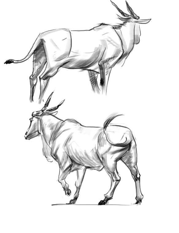 地铁上练习（动物篇）（图ZMTQ4MTk0NzI0） - 创作习作 - 站酷设计师S肚子爱画画D原创素材 - 站酷ZCOOL