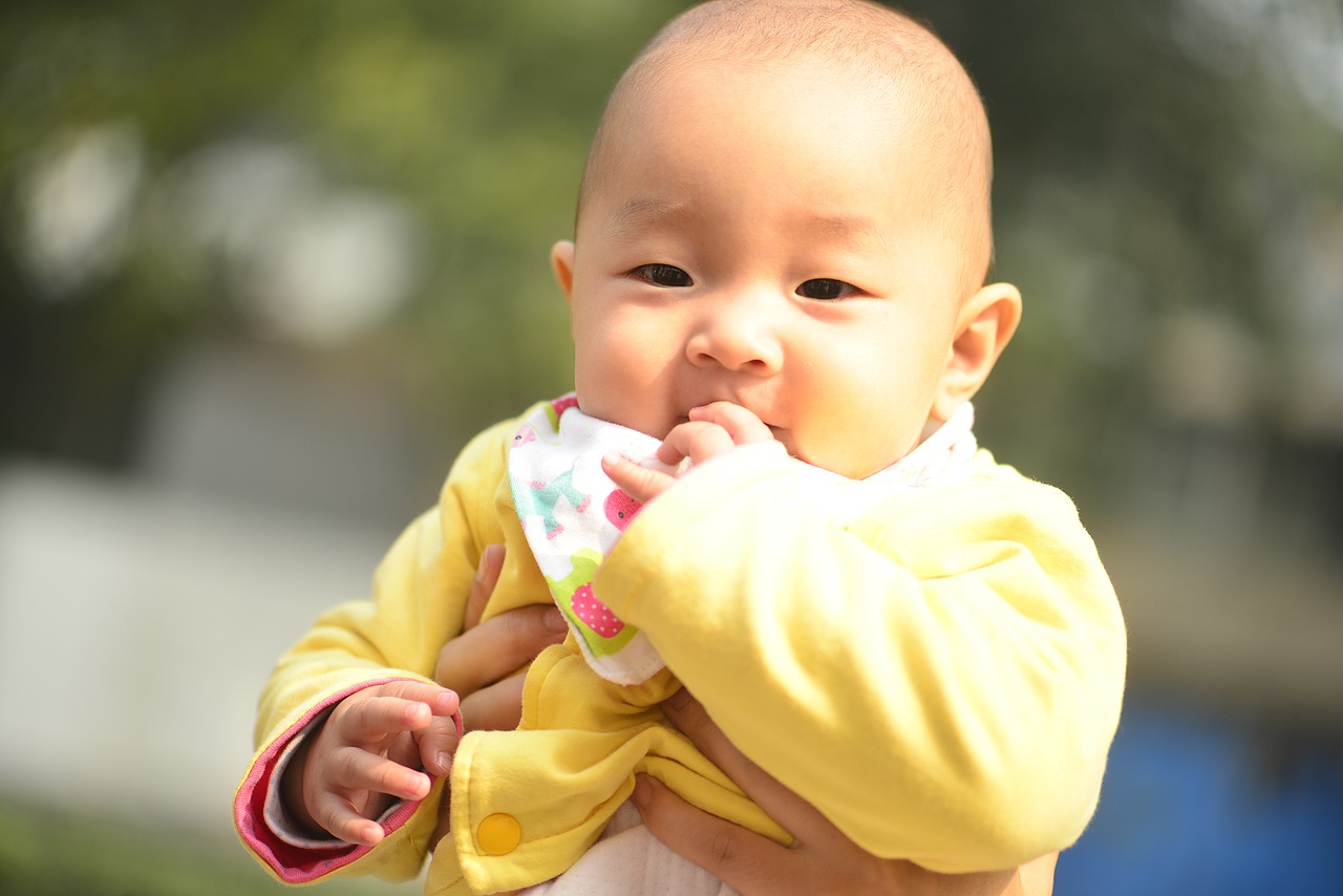 金豆的时光JinDOU