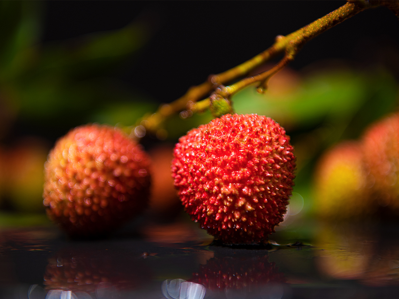 夏日|荔枝|摄影|美食摄影|自然轨迹 - 原创作品 - 站酷 (zcool)