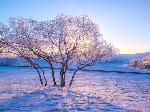 塞北的雪