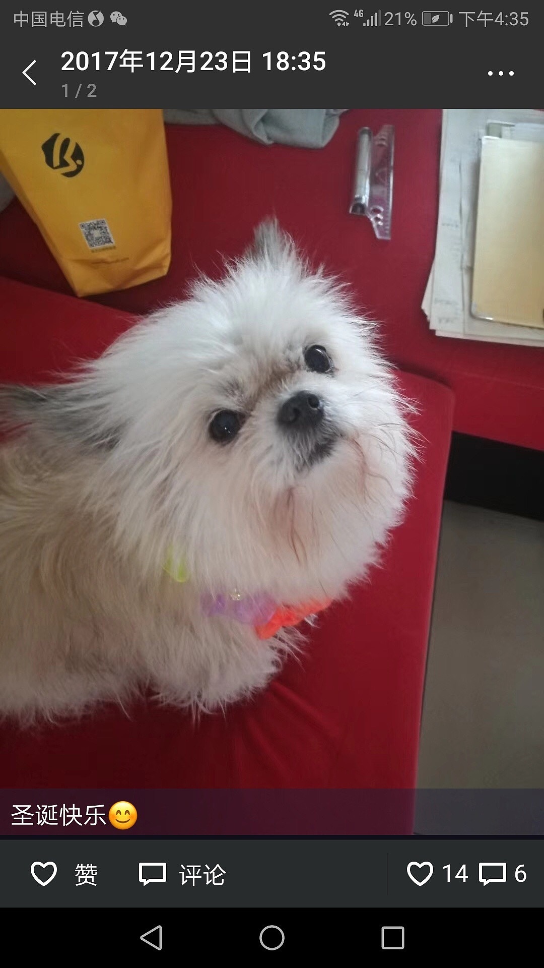宠物狗狗彩铅绘制（图ZMTM3NDg1NTMy） - 其他手工艺 - 站酷设计师lena888888原创素材 - 站酷ZCOOL