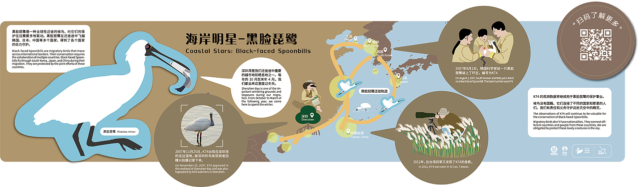 深圳湾公园湿地主题解说牌(图ZMjk1MDM4Mzky) - 图案 - 站酷设计师tofu豆腐原创素材 - 站酷ZCOOL