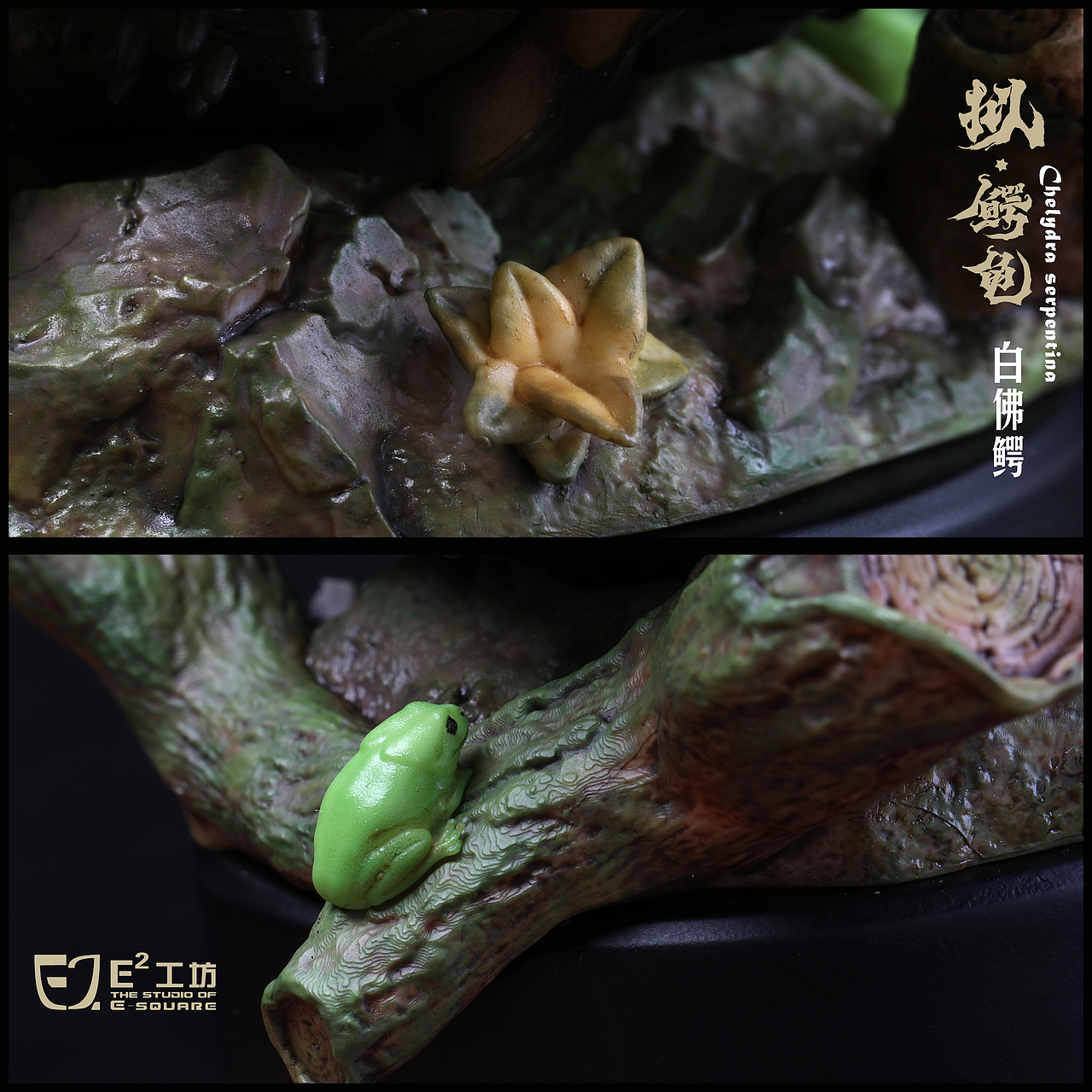 2023鳄龟系列--拟鳄龟