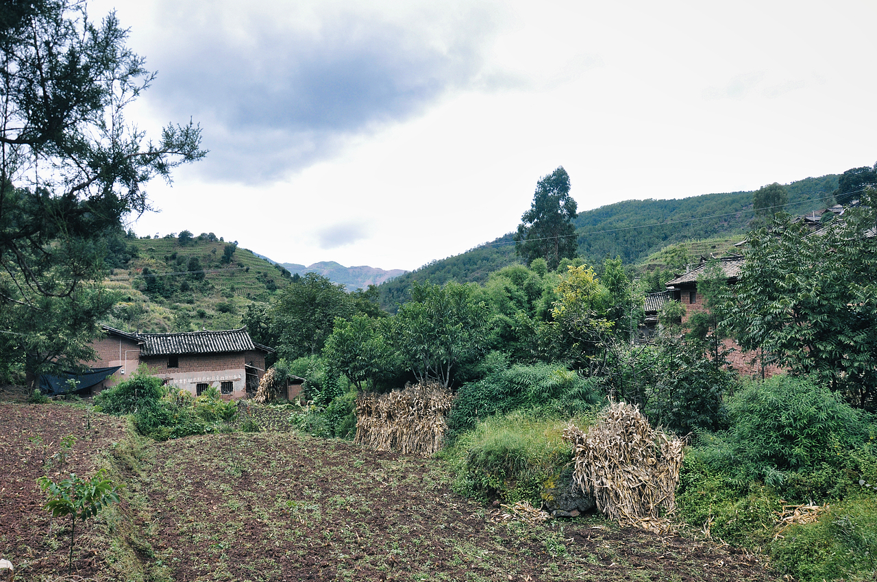 2013年国庆回家村子里（一）（图ZMzU2ODEzOTI0） - 人文/纪实摄影 - 站酷设计师焦虑到掉头发原创素材 - 站酷ZCOOL