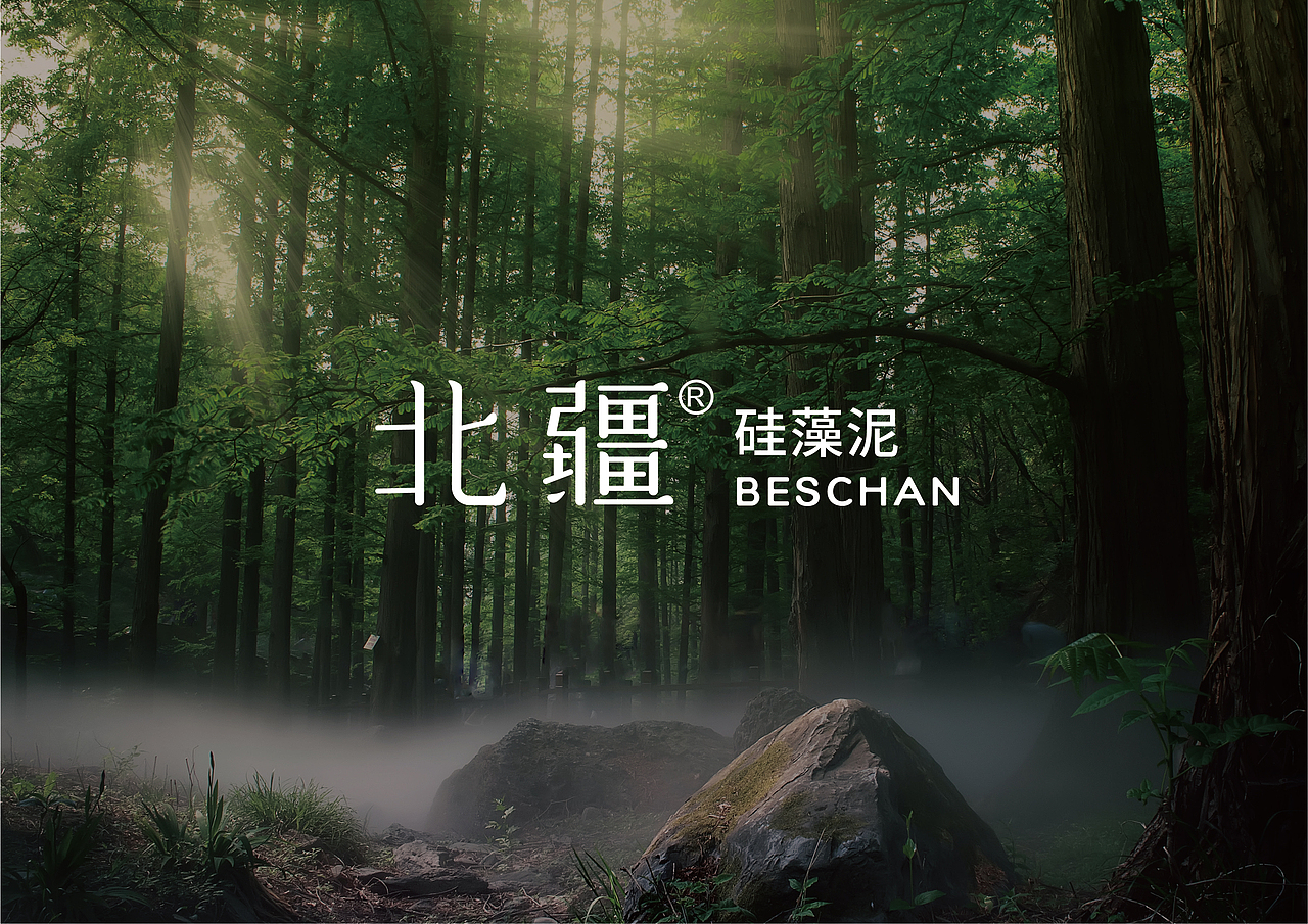 北疆硅藻泥 涂料包装设计 建材VI设计 logo设计(图ZMzMxNjc2ODY0) - 包装 - 站酷设计师hellolinkdesign原创素材 - 站酷ZCOOL
