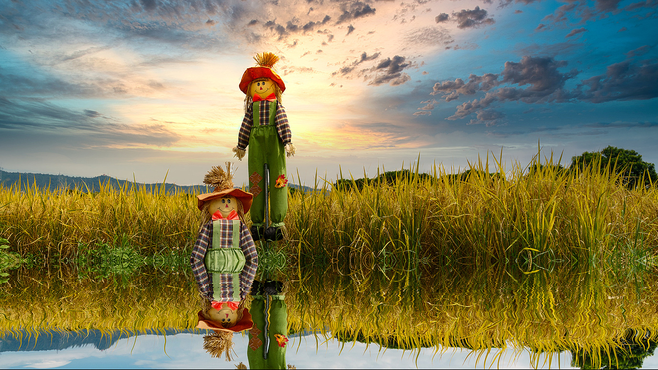 深圳光明小镇欢乐田园稻田