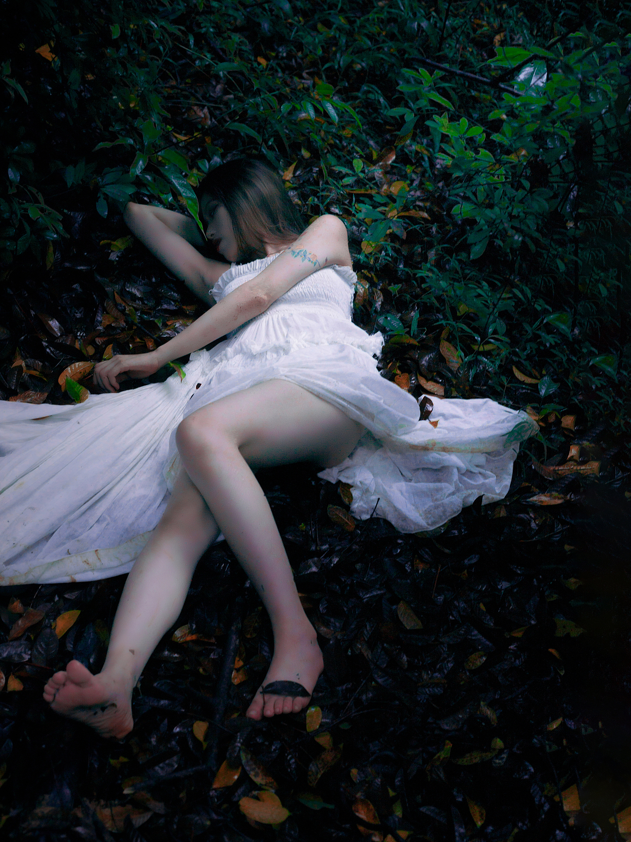 我的2024年度摄影作品总结