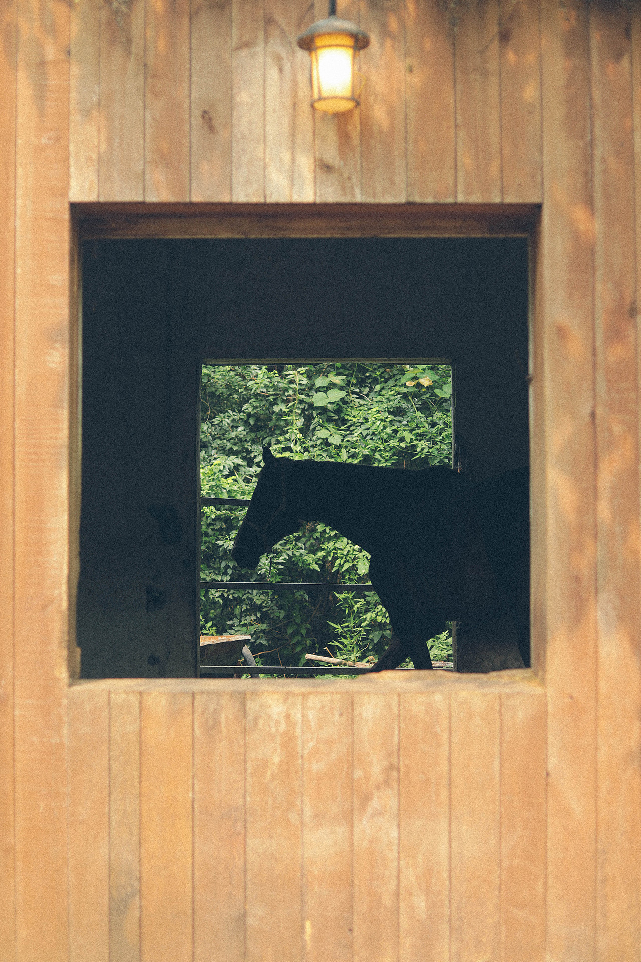 Summer Vibe（图ZMzQzMTg5NTU2） - 人文/纪实摄影 - 站酷设计师木里MULI原创素材 - 站酷ZCOOL