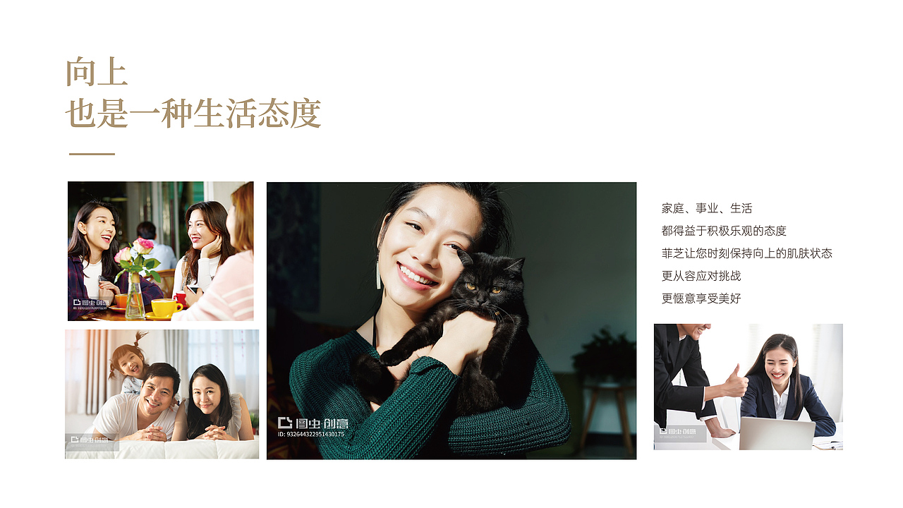 菲芝x一棵树品牌 ∣ 品牌策划全案