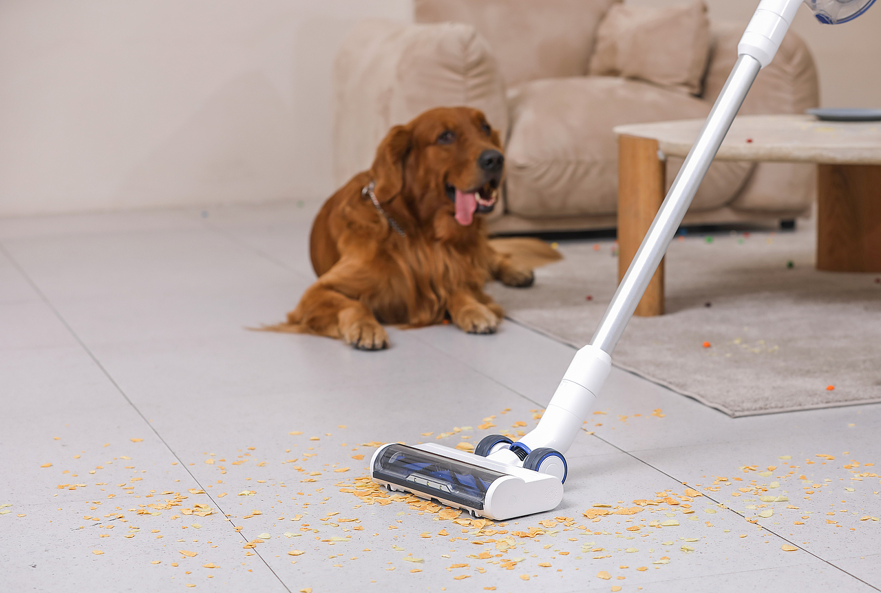 吸尘器（图ZMzA2MTU1Mzk2） - 产品摄影 - 站酷设计师sijane原创素材 - 站酷ZCOOL