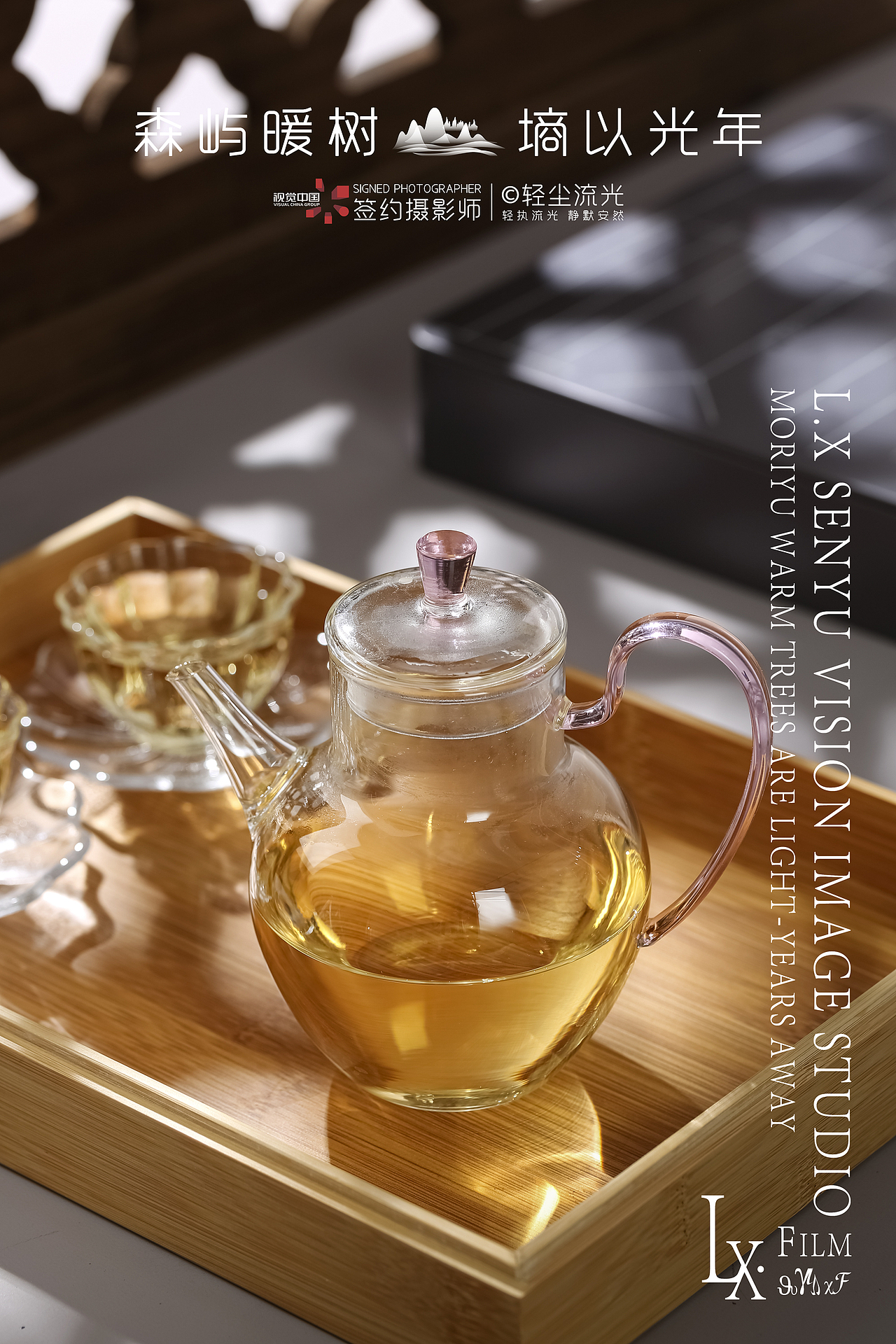 金奖茶王寿眉白茶商业摄影