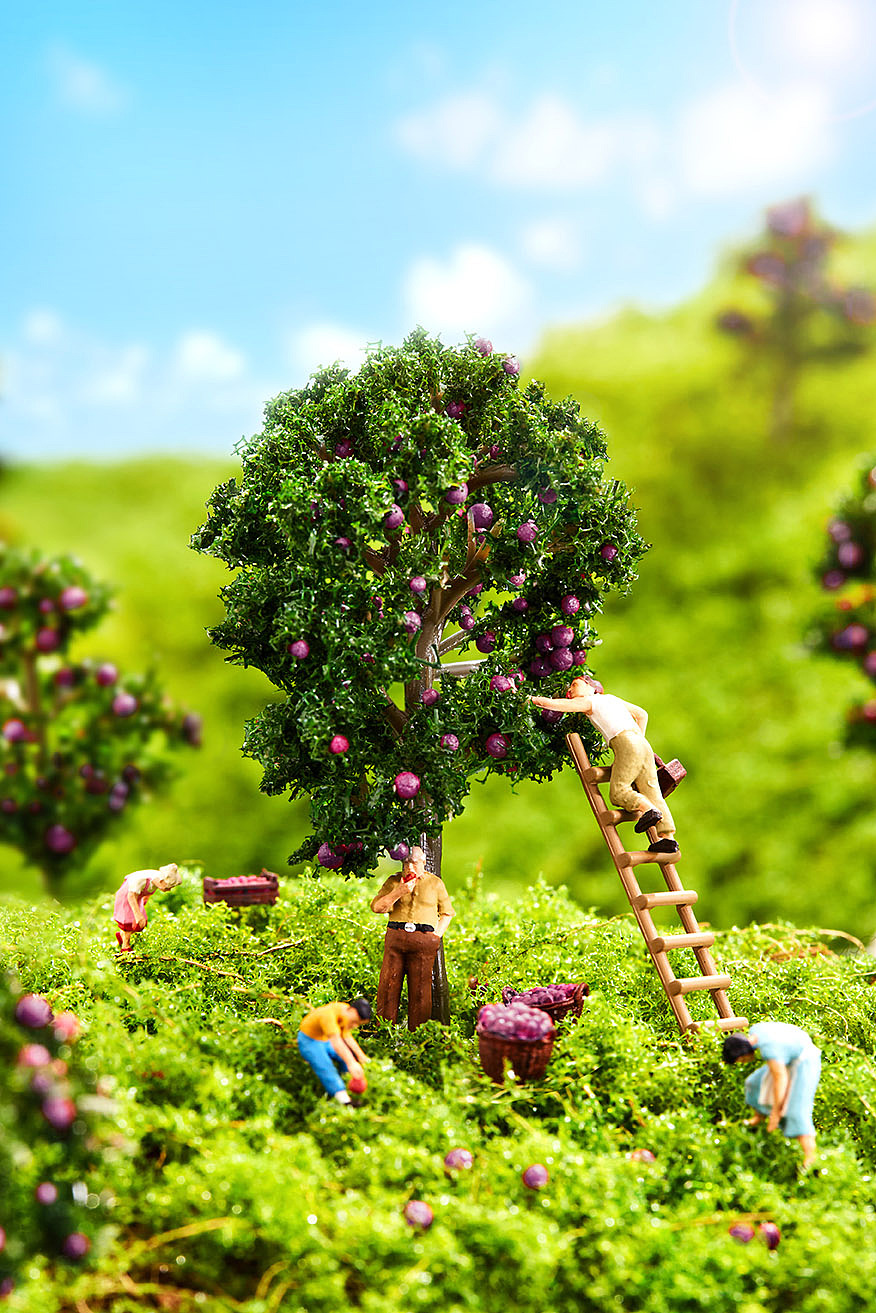 天萁 西梅汁丨重庆产品摄影