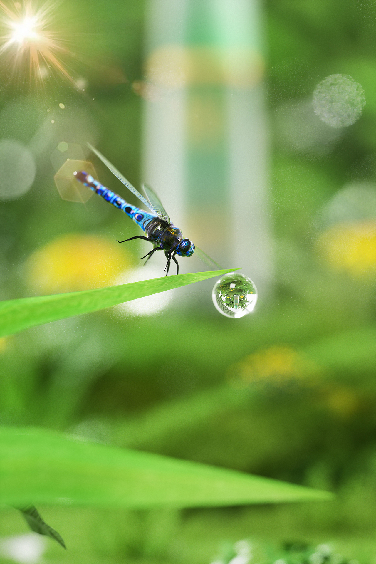 一些作品咯 尝试没有搞过的类目