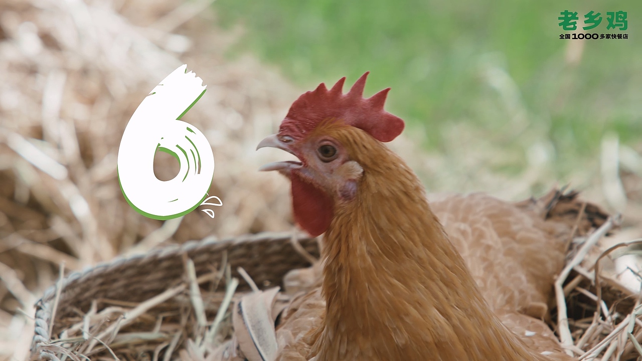 老乡鸡66健康节 健康主题TVC