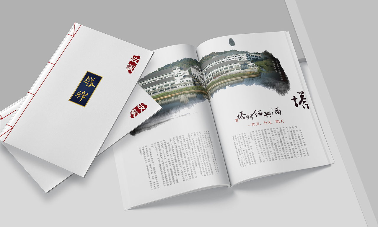 塔牌“本酒”品牌||VI系统  平面  包装  酒