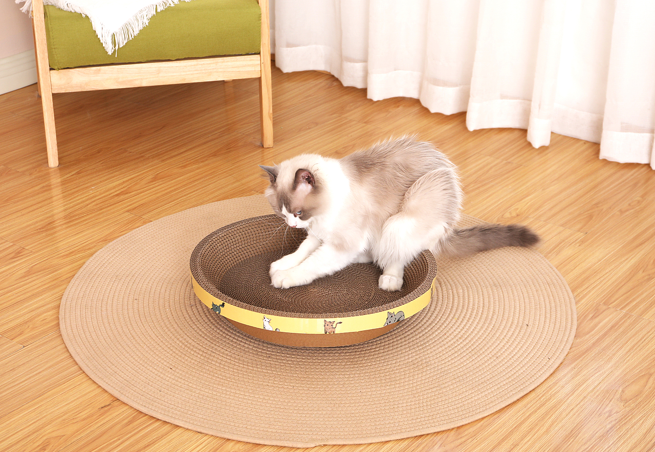 车载牵引绳拍摄亚马逊跨境电商主图设计产品摄影视频制