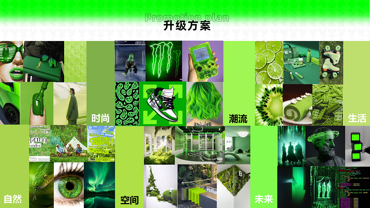 红星美凯龙旗下品牌-龙猫先森视觉全案升级